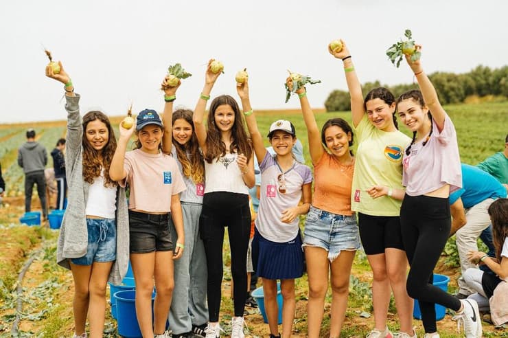 מתנדבי לקט ישראל מסייעים לחקלאים