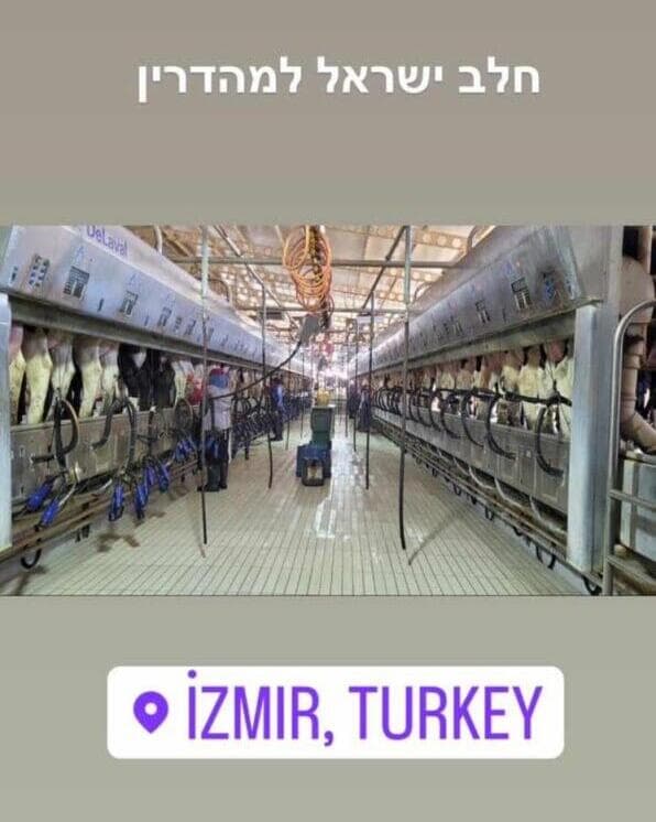 המחלבה בטורקיה