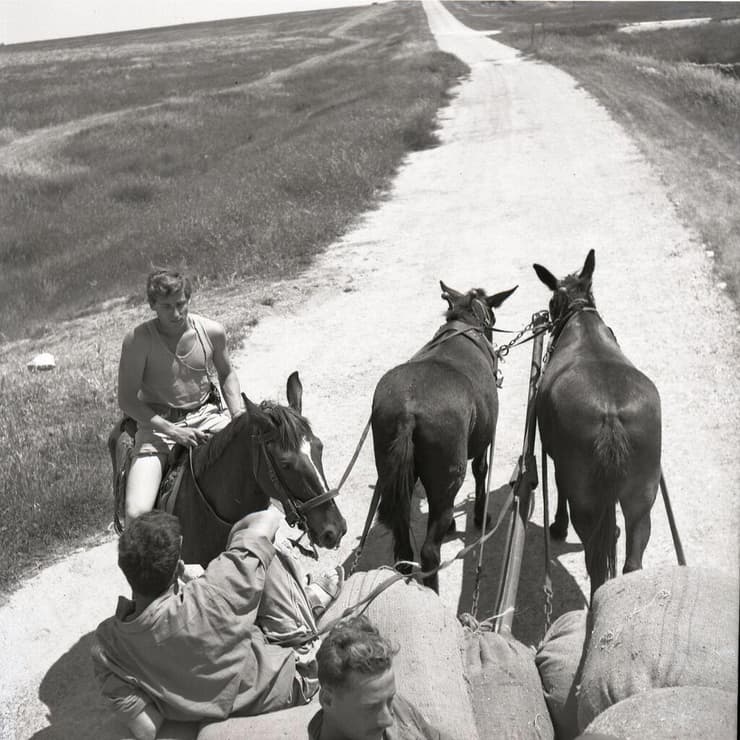 נחל עוז 1951 - צלם בוריס כרמי - אוסף מיתר הספרייה הלאומית