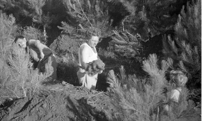 ישראל גלילי מצולם בשעה שהוא מתנדב לחפור תעלות בסיוע אזרחים וחיילים, 1948. צילום: אריה פק, מתוך אוסף אריה פק קיבוץ נען. האוסף הלאומי לתצלומים על שם משפחת פריצקר, הספרייה הלאומית