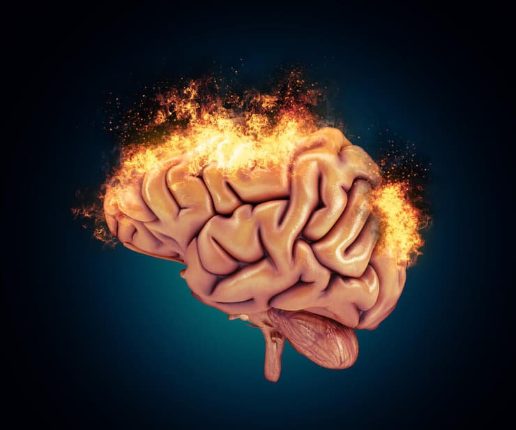 מוח אנושי תגובה לטראומה