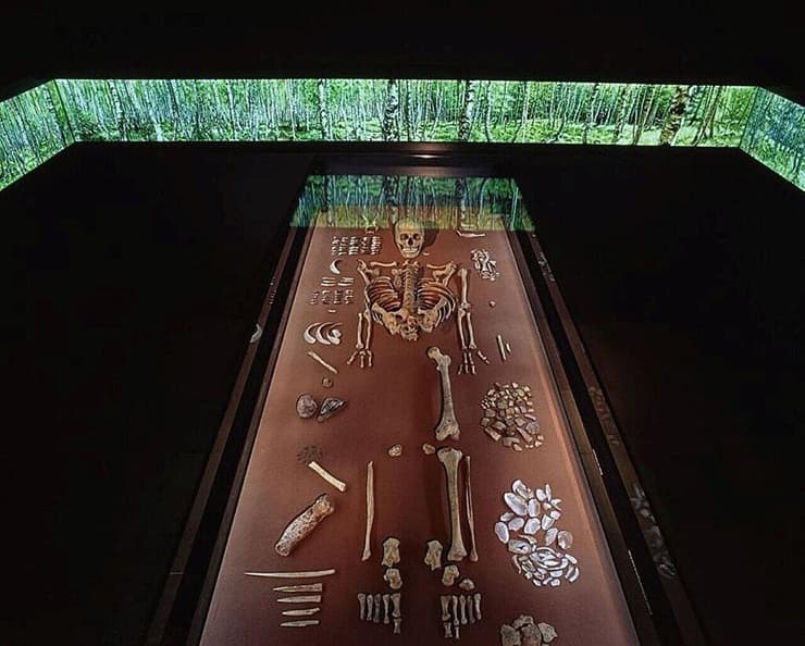 שרידי השלד של השמאנית מוצגים לראווה במוזיאון הממלכתי לפרהיסטוריה בהאלה שבגרמניה