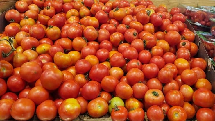 עגבניות עגבניות בסופר