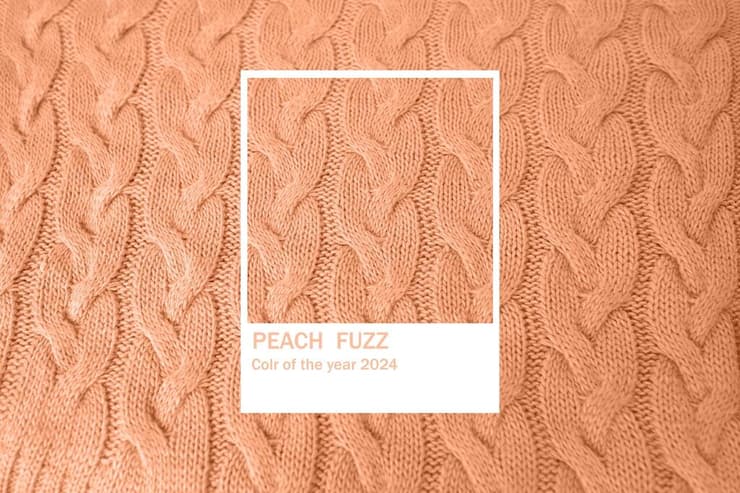 Peach Fuzz, צבע השנה של פנטון 2024