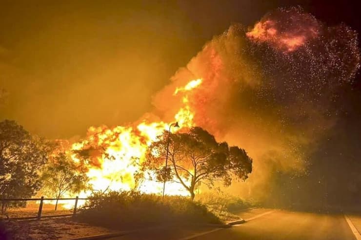 השריפות שכילו את יערותיה של אוסטרליה