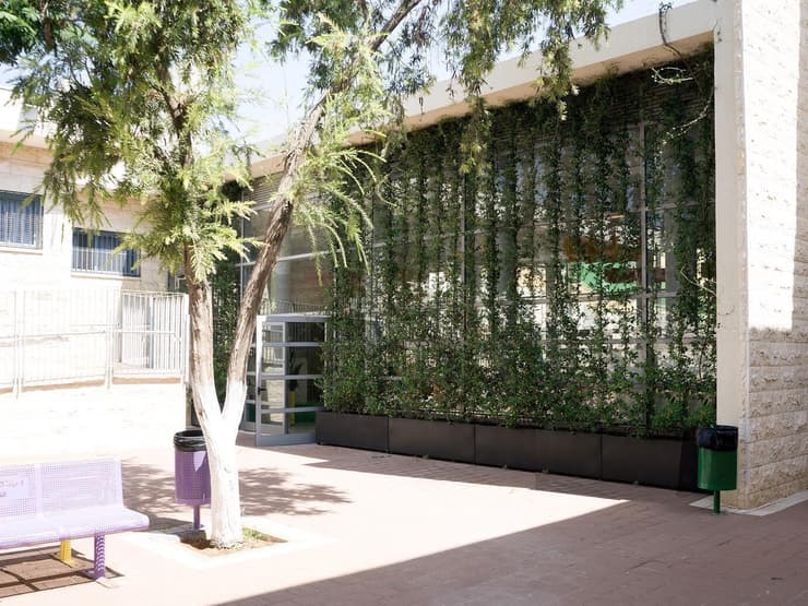 קיר ירוק להצללה במסגרת רטרופיט של המועצה הישראלית לבנייה ירוקה בבי''ס אל עומריה בטירה