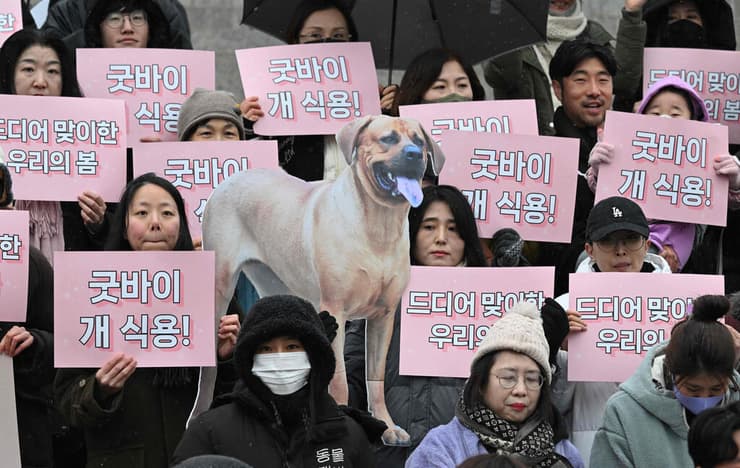 דרום קוריאה פעילות ופעילים למען בעלי חיים מפגינים נגד צריכת בשר כלבים מניפים כרזות עם הכיתוב "להתראות בשר כלבים"
