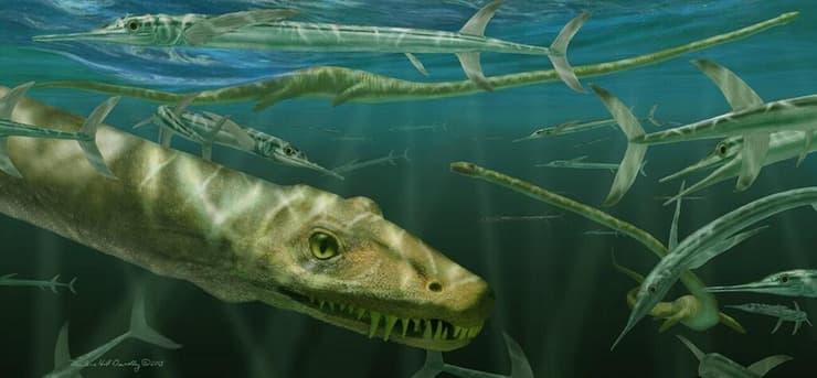 הדמיה של הזוחל הימי Dinocephalosaurus orientalis