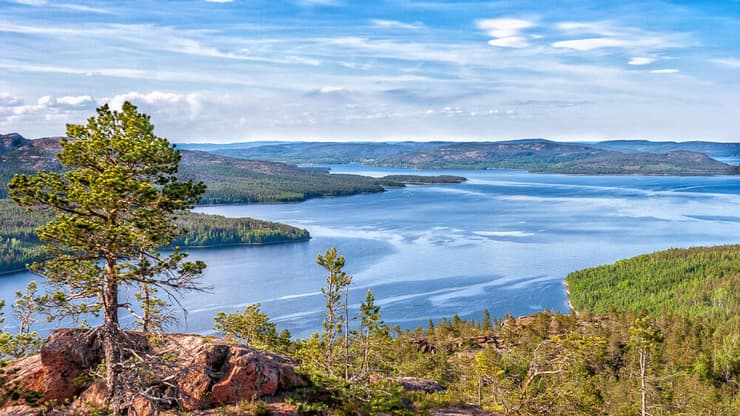 Mjältön Island in the Höga Kusten