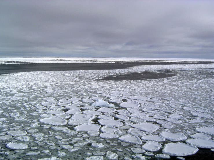 קרח ים באנטארקטיקה