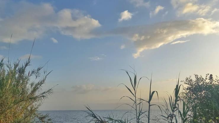 הכינרת (צילום: תמי נחמיה לאיגוד ערים כינרת) הכינרת