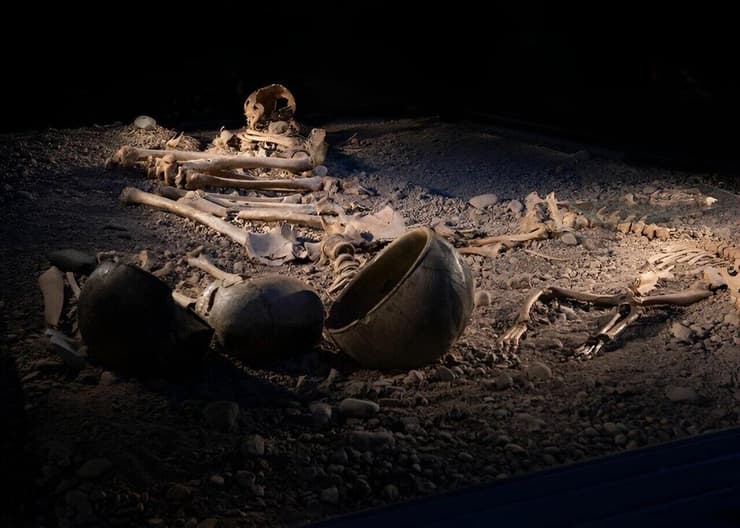 שרידי עצמות בני אדם מתקופת האבן הסקנדינבית שהתגלו בלינשופינג שבדרום שבדיה