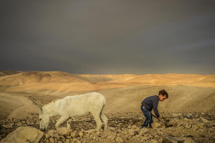 הספר "עדות מקומית": 2019, רועים במדבר יהודה, באה בר קלוש