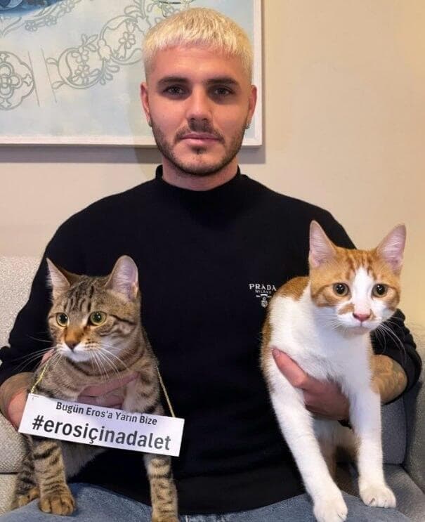טורקיה איסטנבול ארוס החתול נרצח מחווה של כדורגלן ארגנטינה מאורו איקרדי