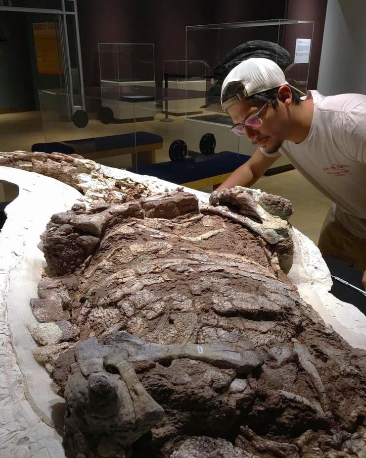 וויליאם רייס, בוחן דגימת אטוזאור במוזיאון ניו מקסיקו לתולדות הטבע והמדע