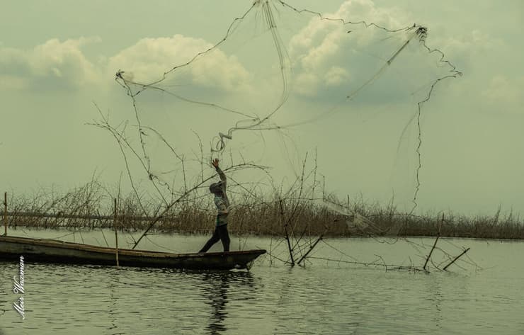 דייג משליך רשת למים