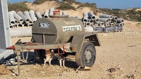 כלב שותה מים בעמדה צבאית
