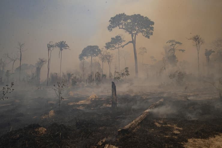 שריפת יער באמזונס