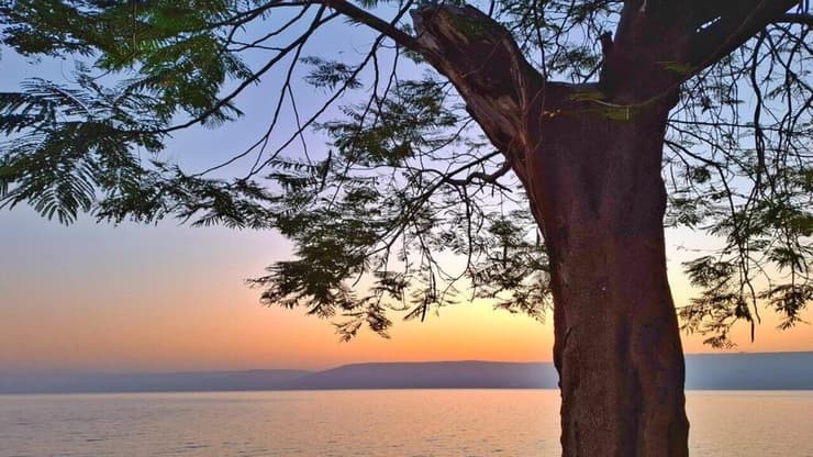 בוקר בכינרת