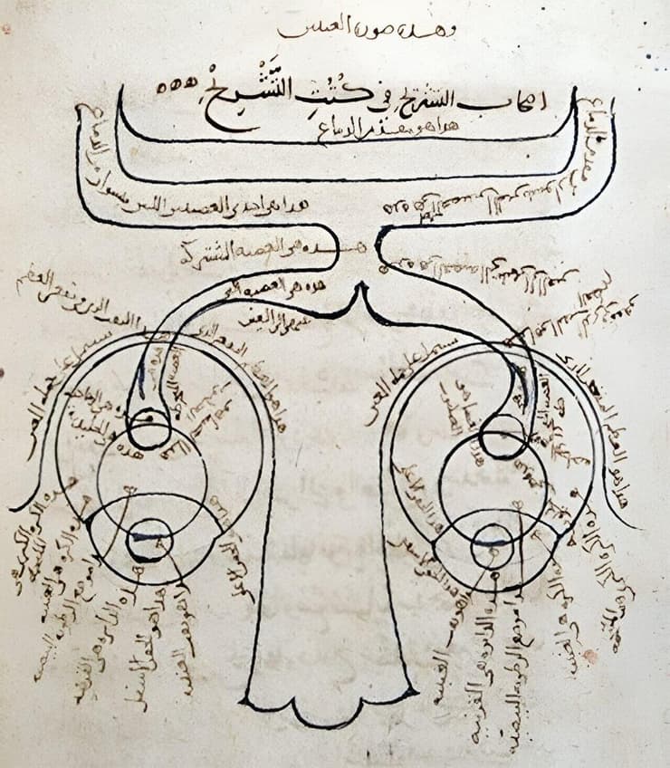 דיאגרמת האנטומיה של העין, מתוך "ספר האופטיקה" של אבן אל-היית'ם