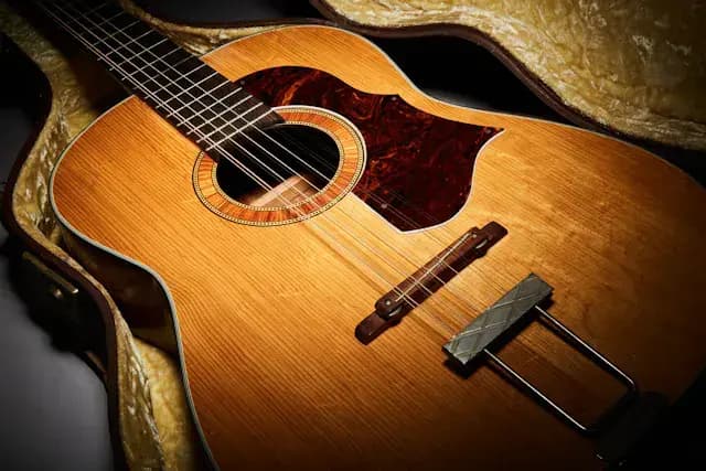 הגיטרה של ג'ון לנון שעומדת למכירה פומבית