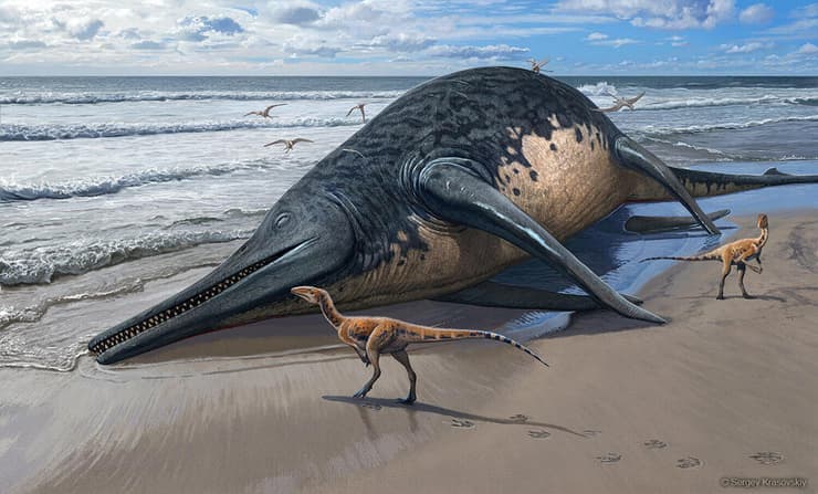 פגר איכטיוזאור ממין Ichthyotitan severnensis על החוף