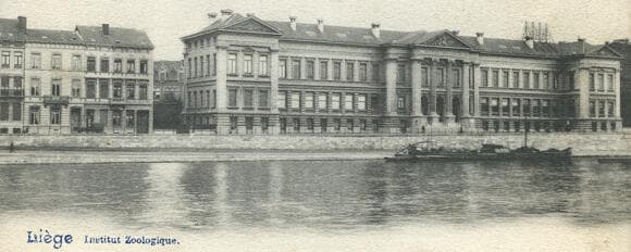 המשפחות הכירו במינסק, הצעירים נפגשו כנראה בפעם הראשונה בליאז'. בניין המכון לזואולוגיה של אוניברסיטת ליאז', שם החל יוג'ין וולמן את דרכו המחקרית כסטודנט לרפואה (צילום: אוניברסיטת ליאז') המשפחות הכירו במינסק, הצעירים נפגשו כנראה בפעם הראשונה בליאז'. בניין המכון לזואולוגיה של אוניברסיטת ליאז', שם החל יוג'ין וולמן את דרכו המחקרית כסטודנט לרפואה