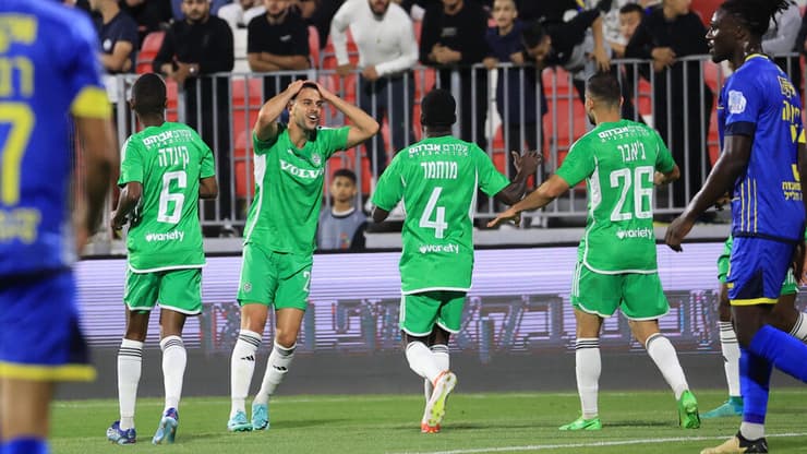 דוד והחברים חוגגים (צילום: אלעד גרשגורן) דוד