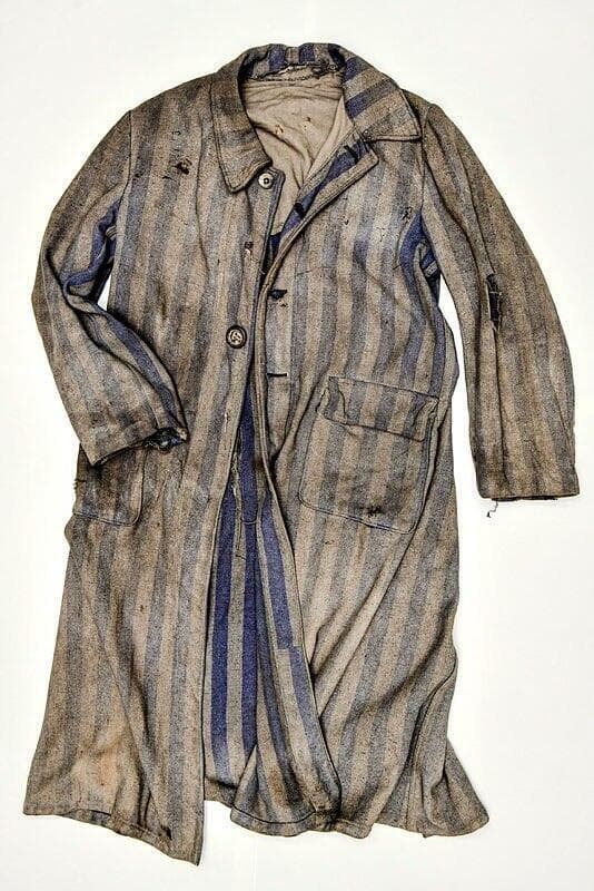 צילום: נחום סגל