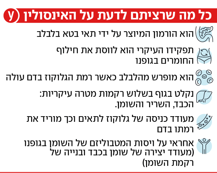 אינפו אינסולין 2