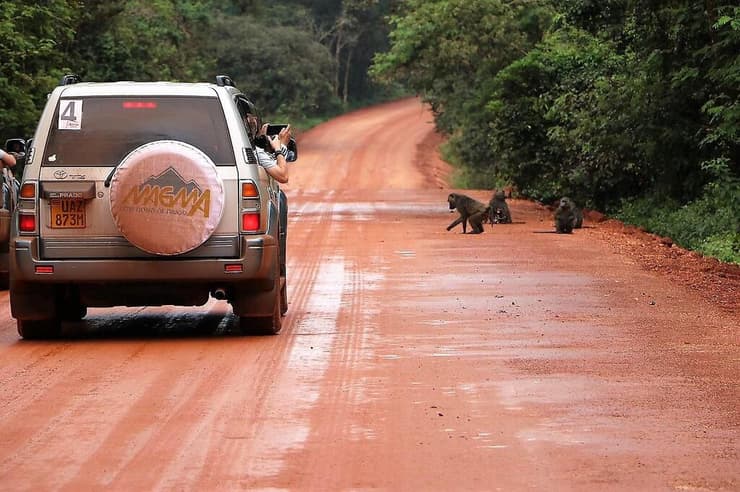 הדרכים האדומות של אוגנדה. 