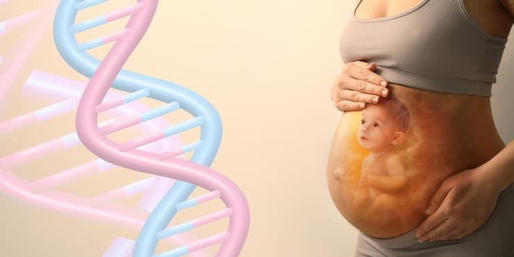 בדיקה גנטית היריון