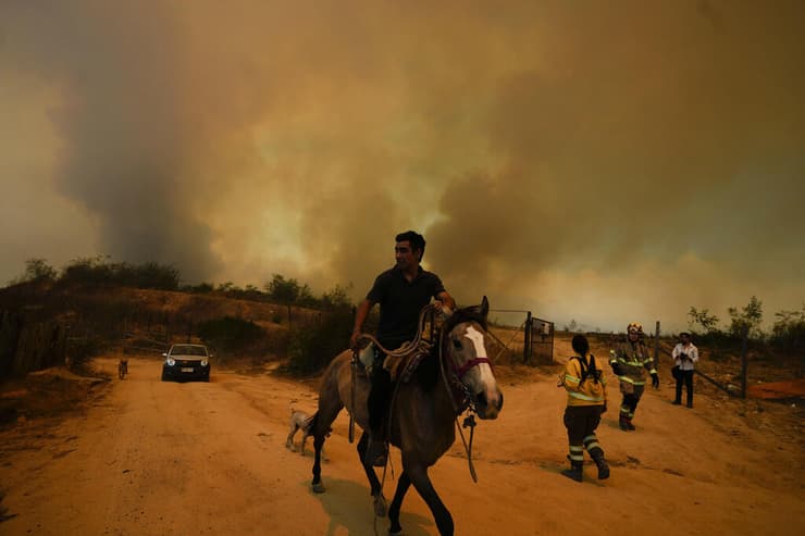 שריפה שריפת יער ב צ'ילה פברואר 2024