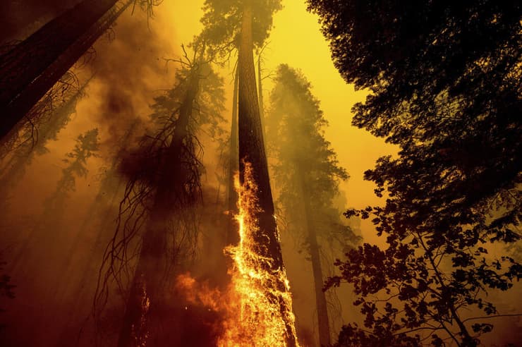 שריפת יער בארה"ב כתוצאה משינויי האקלים