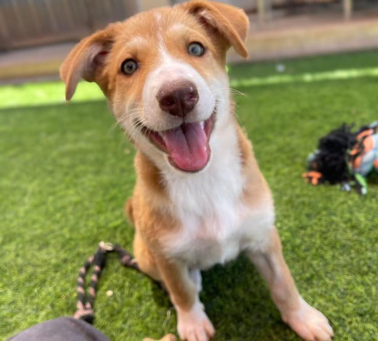 עדן (צילום: חבר לי) עדן