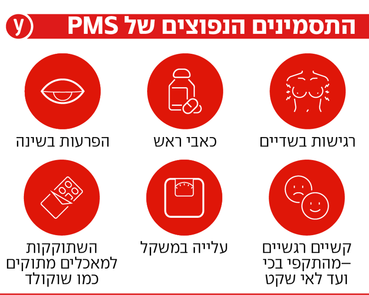 אינפו PMS אינפו PMS