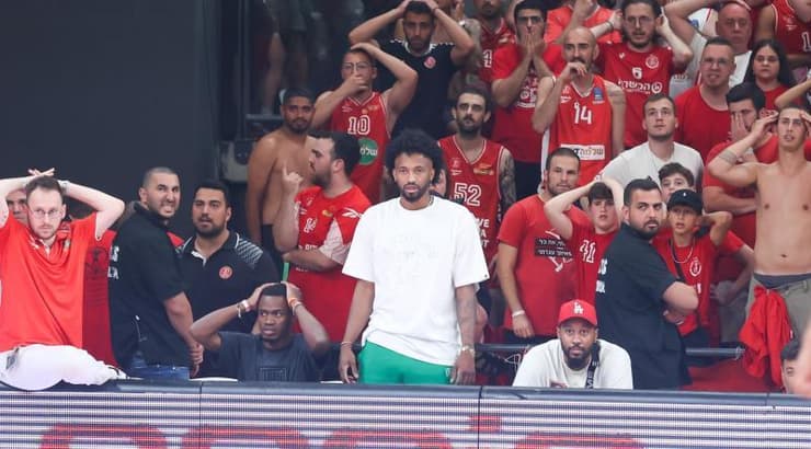 הלם בהיכל קבוצת שלמה (שחר גרוס) הלם בהיכל קבוצת שלמה