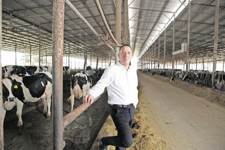 איציק שניידר, מנכ''ל מועצת החלב