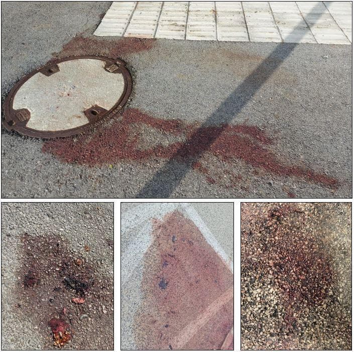 כתמי דם שלא נוקו של חזירי בר שנורו על המדרכות בשכונות חיפה