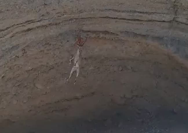 היעל מחולץ באמצעות חבל מהבולען