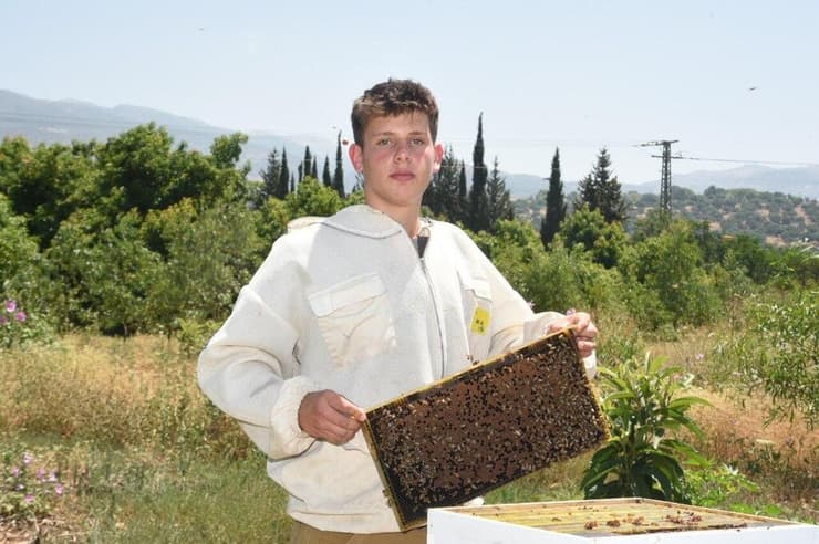  ענבר רודולף באחת הכוורות