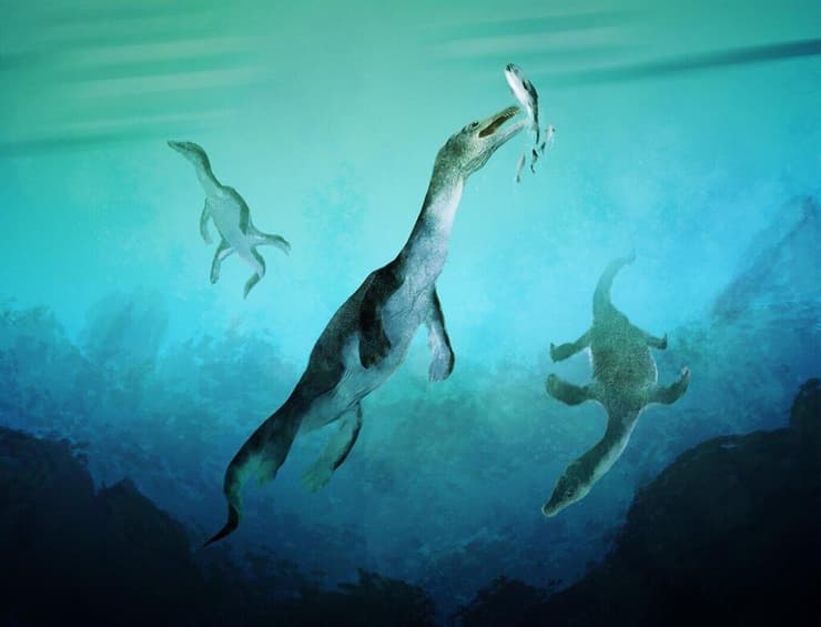 שחזור של נותוזאורוס, הזוחל הימי העתיק ביותר מחצי הכדור הדרומי