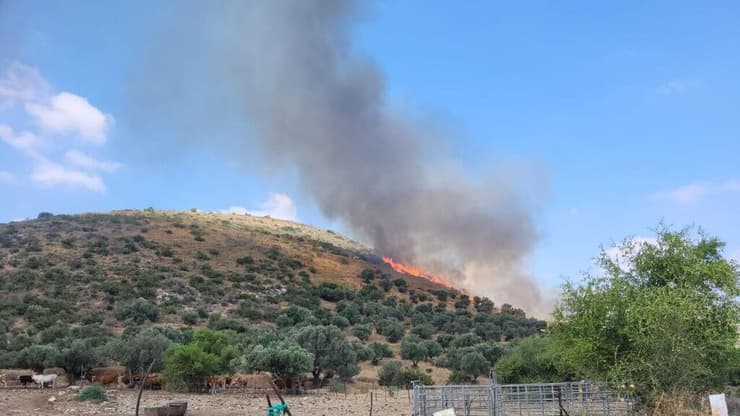 שריפות  שמורת טבע גן לאומי ארבל