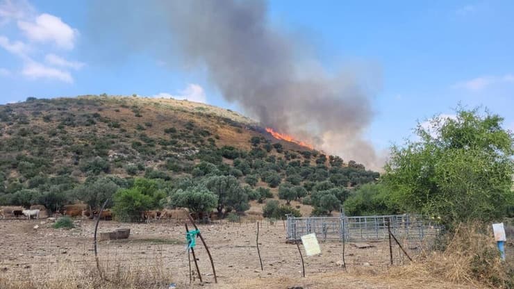 שריפות  שמורת טבע גן לאומי ארבל