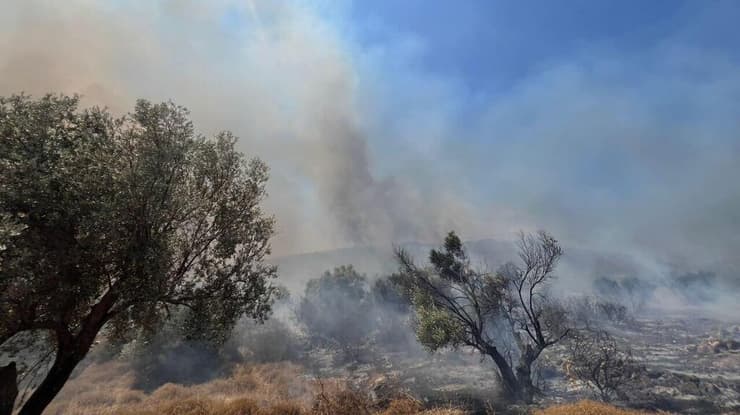 זירת הפגיעה מכפר הזיתים