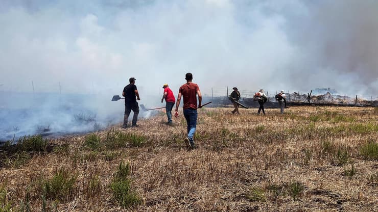 מכבים שריפות בגליל