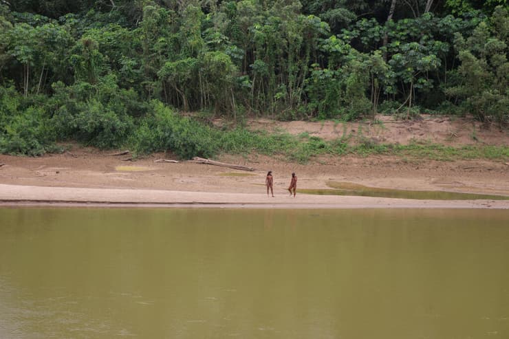 פרו תמונות של שבט הילידים ה מבודד ב אמזונס מאשקו פירו