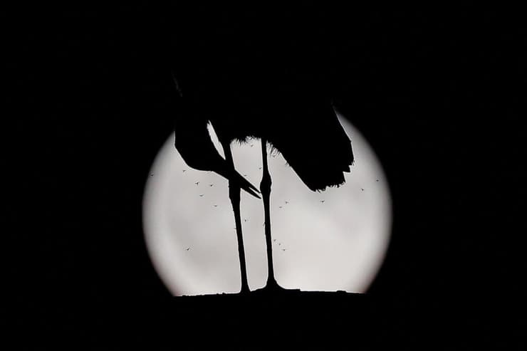הירח המלא בקוסובו