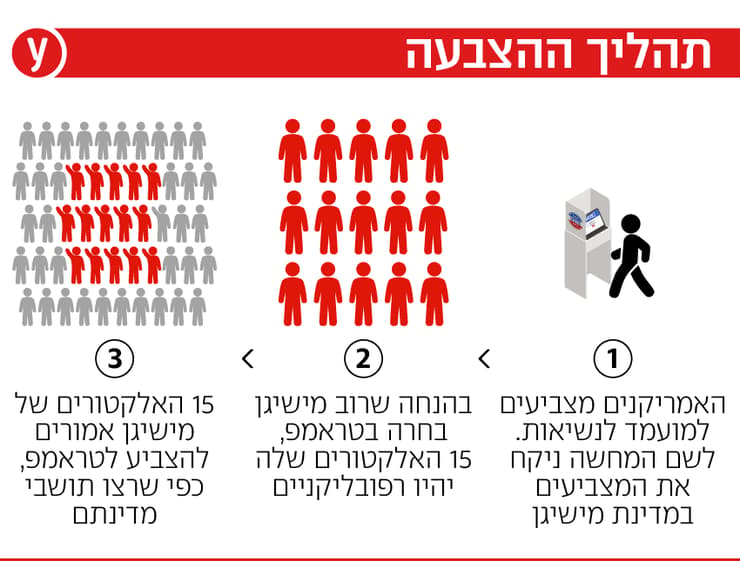 אינפו גרפיקה אינפוגרפיקה שיטת ה בחירות ארה"ב 2024