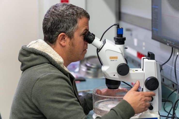 מיון פלנקטון על גבי ספינת המחקר "בת גלים"